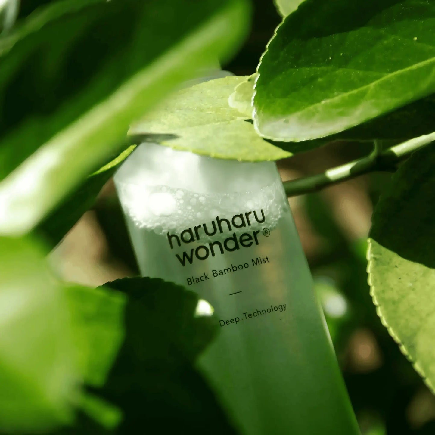 Haruharu Wonder Black Bamboo Mist – embalagem da bruma sobre folhas verdes, ideal para peles reativas ou com tendência à vermelhidão, com ação calmante natural, cosmética coreana e skincare k-beauty Portugal