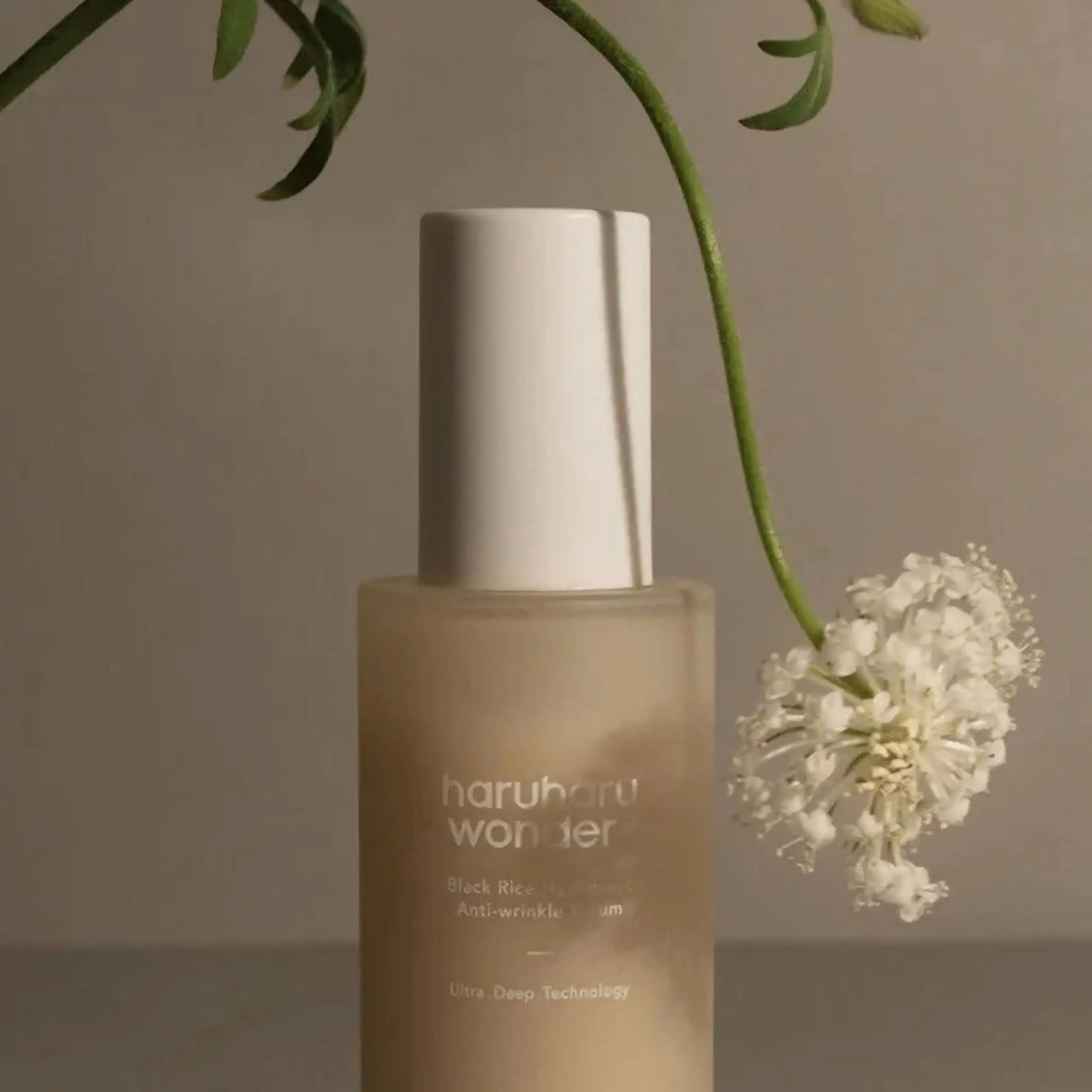 Haruharu Wonder Black Rice Hyaluronic Anti-Wrinkle Serum pendurado com flor branca em fundo suave – sérum facial nutritivo e iluminador com arroz preto fermentado, cosmética coreana, skincare k-beauty Portugal