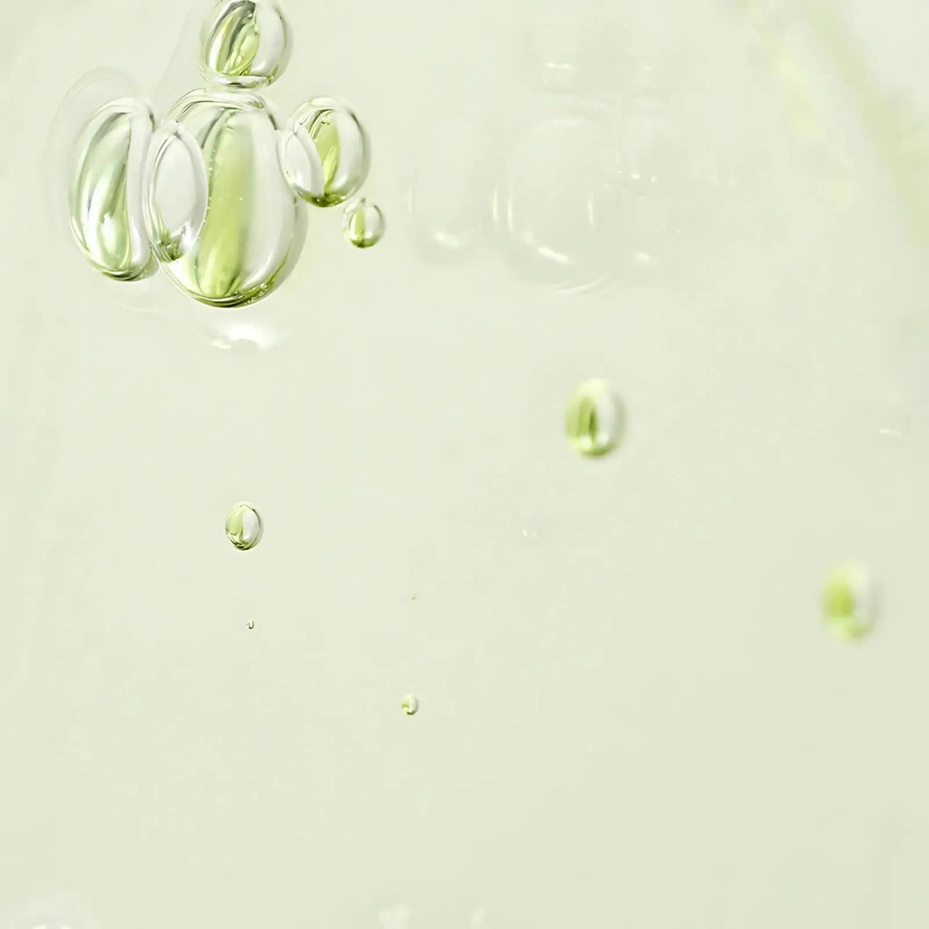 Beauty of Joseon Calming Serum sérum coreano calmante que fortalece barreira cutânea e dá conforto cosmética coreana Portugal