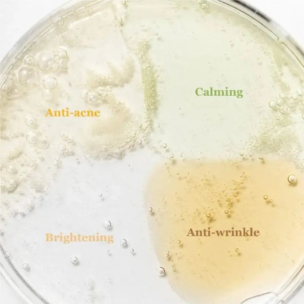 Hanbang Serum Discovery Kit Beauty of Joseon sérum coreano chá verde acalmar pele sensível skincare Portugal